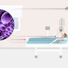 <style type="text/css" >p.p1 {margin: 0.0px 0.0px 0.0px 0.0px; font: 13.8px Helvetica; color: #000000}</style>Purple cartoon of candida auris with lines pointing places the bacteria clings to in a hospital, like a wheelchair, bed, skin, and catheter.&nbsp;